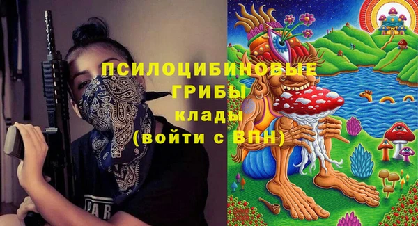 дмт Балабаново